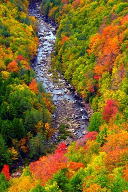 Blackwater Falls State Park Lodgeデイビス エクステリア 写真